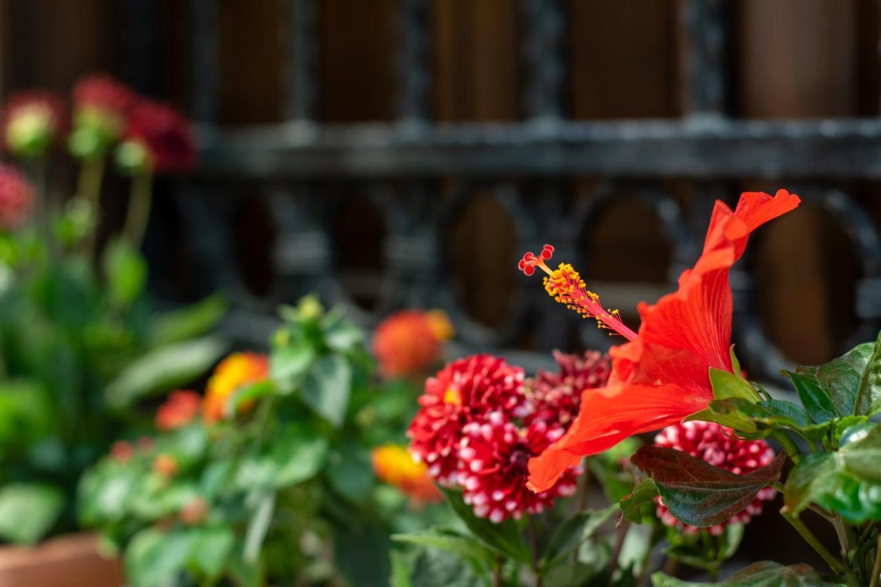 Flores Hotel Алачати Экстерьер фото